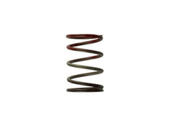 Turbosmart - Turbosmart WG40 11PSI Middle Spring Brown/Red - Demon Performance