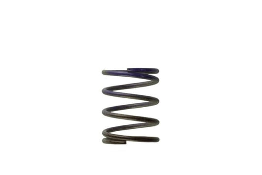 Turbosmart - Turbosmart WG40 7PSI Middle Spring Brown/Purple - Demon Performance