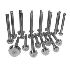 Yukon Gear & Axle - Yukon Gear Bearing Race Driver Set / 21 Piece - Demon Performance